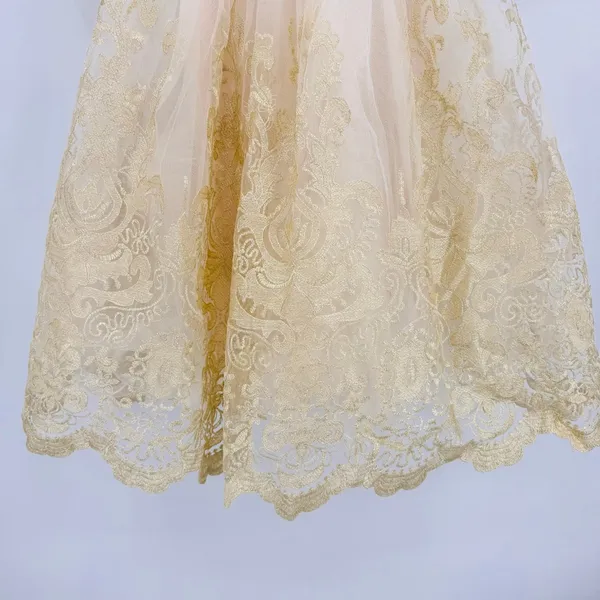 Sheer Gold Lace Overlay Formal Dress Sweetheart Neckline Victorian Regency Sz 2 - Image 6