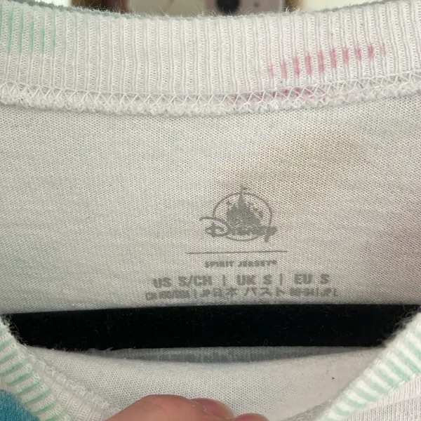 Disney World Spirit Jersey - Image 6