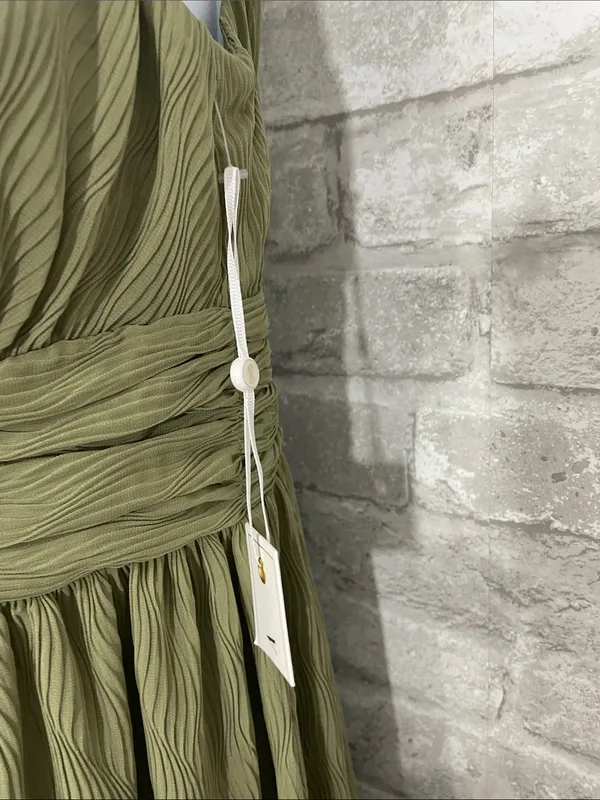Siena Pleated Chiffon Midi Dress in Sweet Pea - Image 4