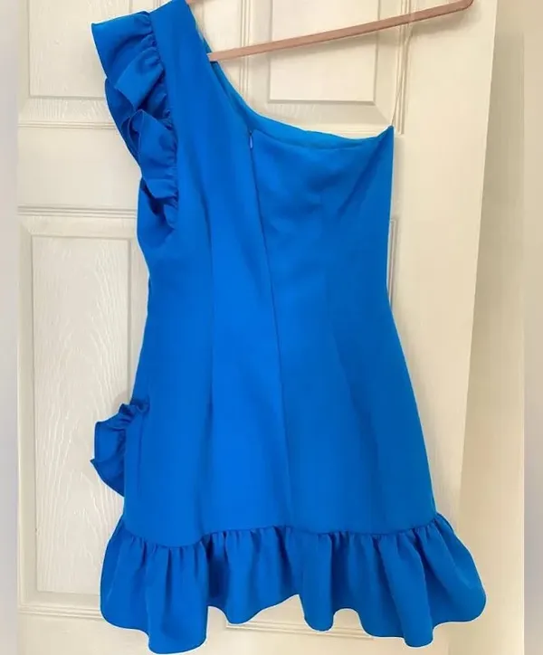 DO+BE One Shoulder Ruffle Blue Dress - Image 4