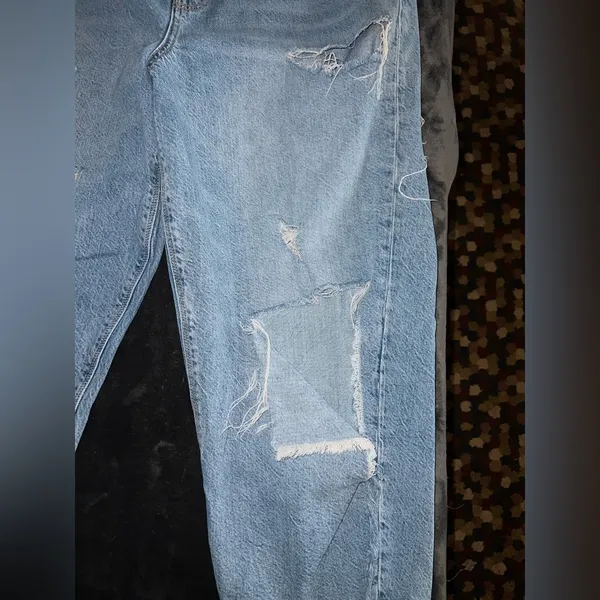 American Eagle Relaxed Mom Jean Size 16 Regular - Image 5