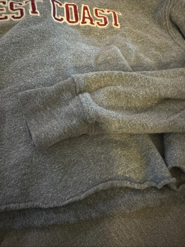 Brandy Melville Gray 'West Coast' Crop Sweatshirt with Maroon Lettering - Image 3