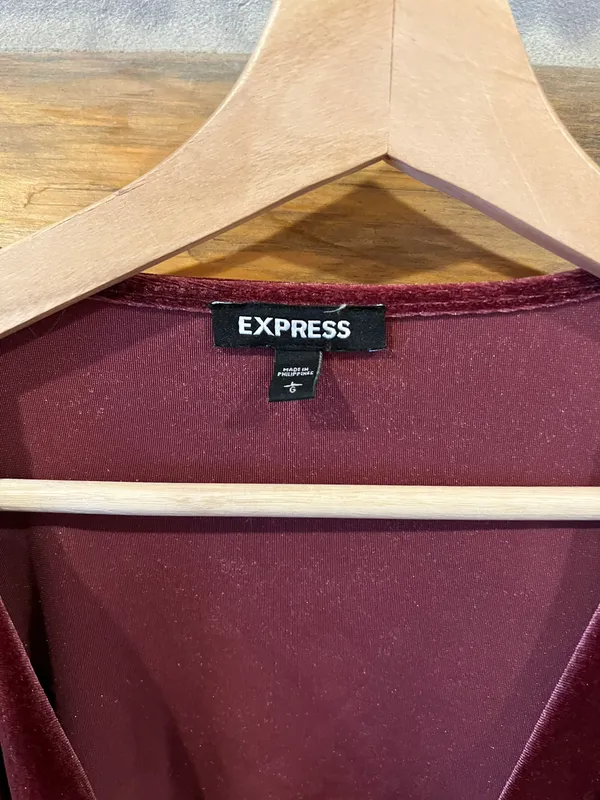 Express Velvet V Neck Bodysuit - Image 3