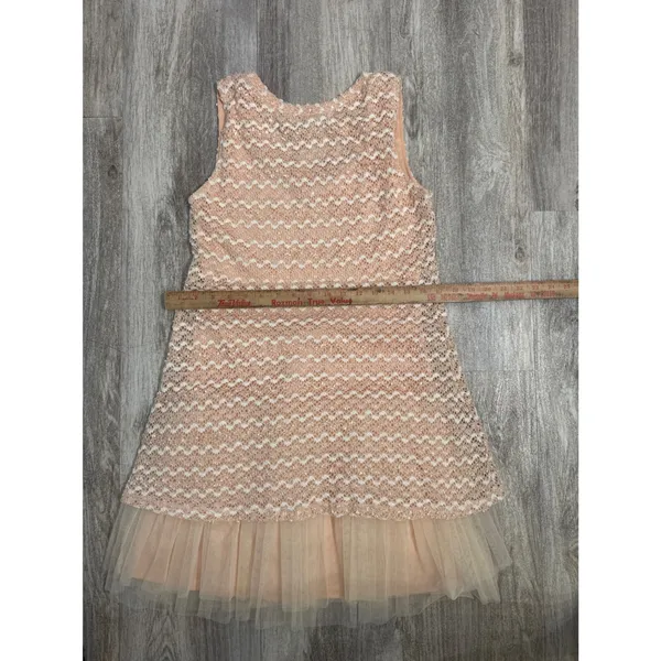 Ryu Anthropologie Peach Sequin Chevron Lace Tulle‎ Mini Dress Womens Large - Image 7