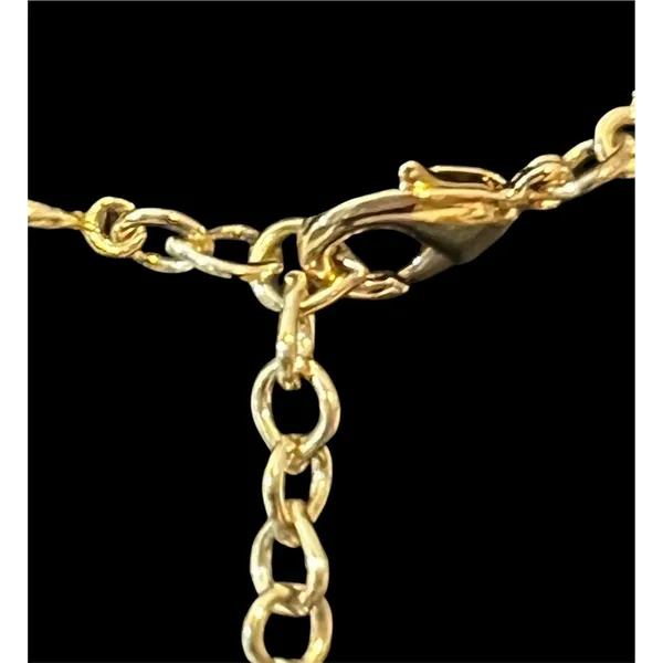 Gold Tone Good As Gold Pendant Necklace Brown Rope Convertible Premier Designs - Image 5