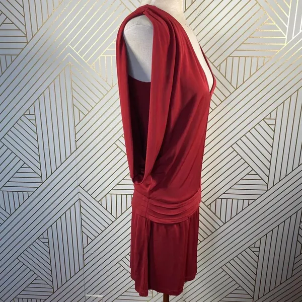 Haute Hippie Crimson Crush‎ Cowl Sleeve Mini Dress - Image 9