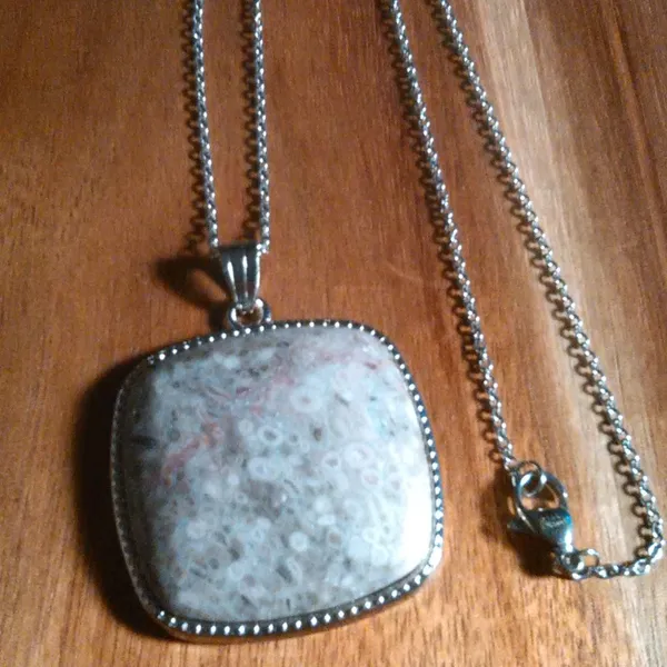 Ocean Fossil Jasper Inlay Frame Silvertone Pendant Stainless Steel Necklace - Image 2