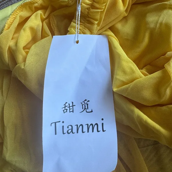 💛TIANMI Mesh Slip Ruffle Maxi Dress💛 ~M NWT - Image 13
