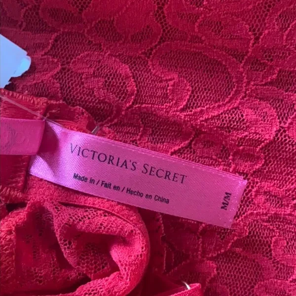 NWT Victoria’s Secret The Lacie Chemise Push Up Bra (M) - Image 8
