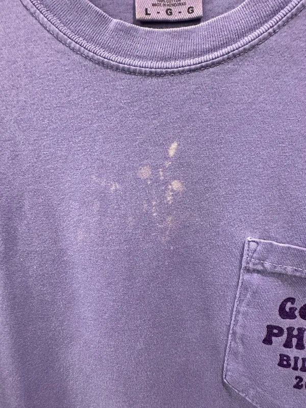 Comfort Colors Go Go Phi Mu Bid Day Tee - Image 5