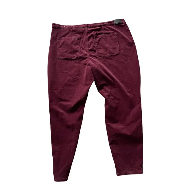 NWOT American Eagle High Rise Jegging Corduroy Skinny Pants Button Fly - Image 8