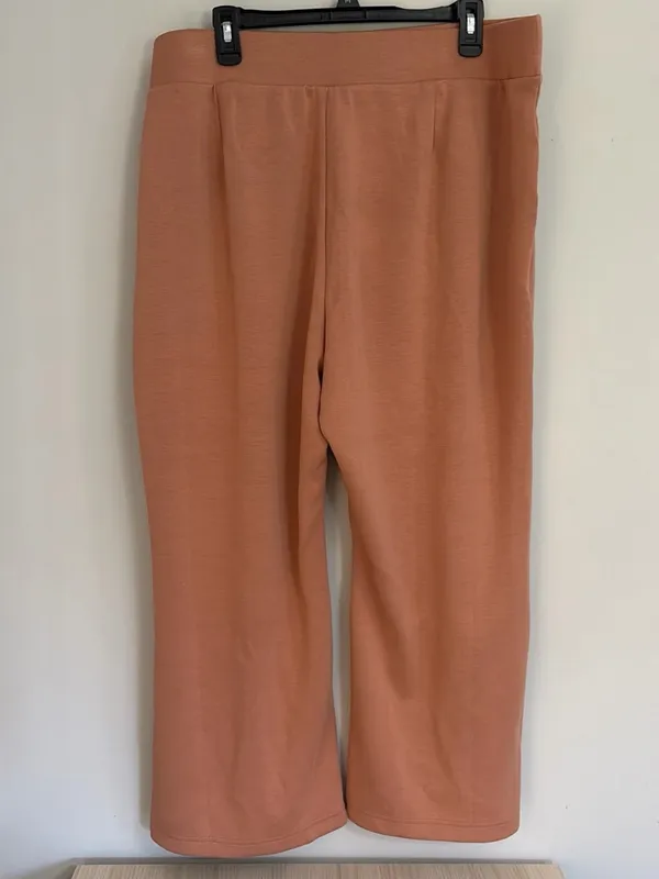 Terra & Sky Cropped Ponte Knit Pants in Dusty Rose size 2x - Image 5