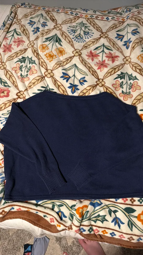 Wild Fable Sweater Cropped - Image 2