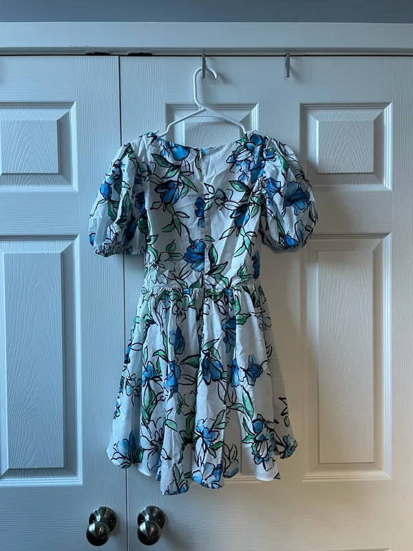 Showpo Deep V Puff Sleeve Dress - Image 4
