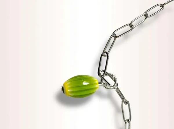 Free People Layered Necklace - Image 8