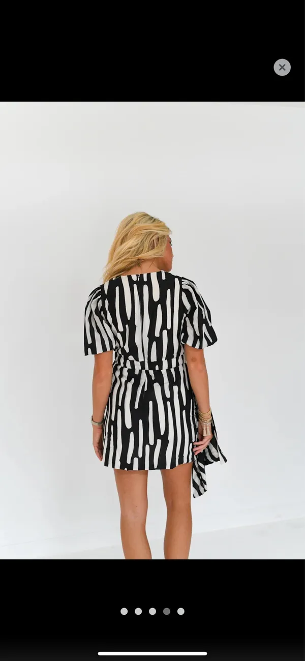 Fancy D Boutique Dress - Image 4
