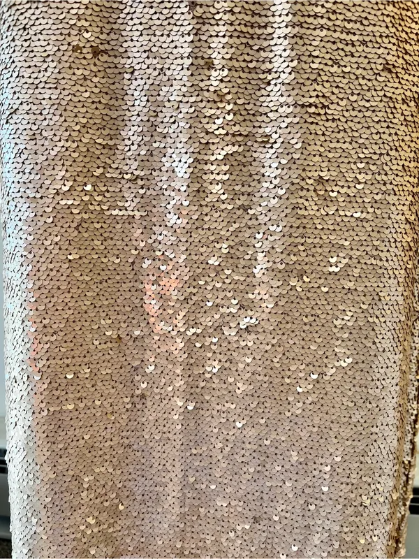 Lucy Paris Champagne Gold Metallic Maxi Skirt | Mermaid Slip Skirt | Y2K Glam - Image 3