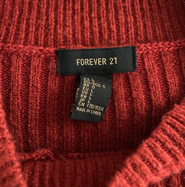 Forever 21 Burnt Orange Sweater - Image 4