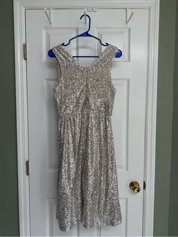 Draper James Champagne Sequin A-Line dress - Image 2
