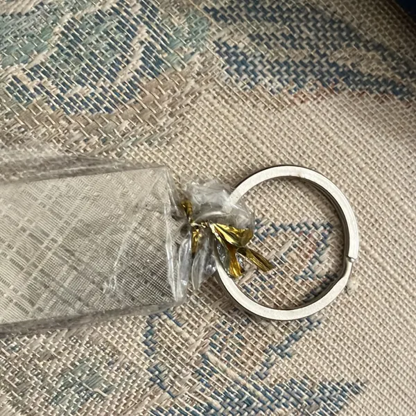 100 dollar key ring - Image 2