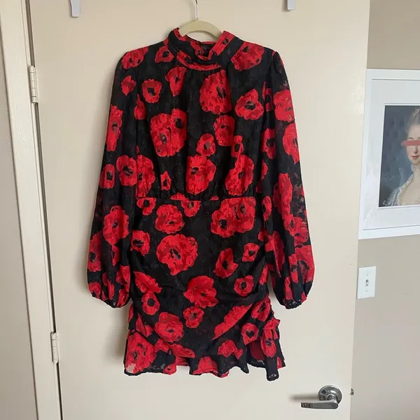VICI Silk Night Ruched Floral Mini Dress - Chic Red Floral Dress - Image 5