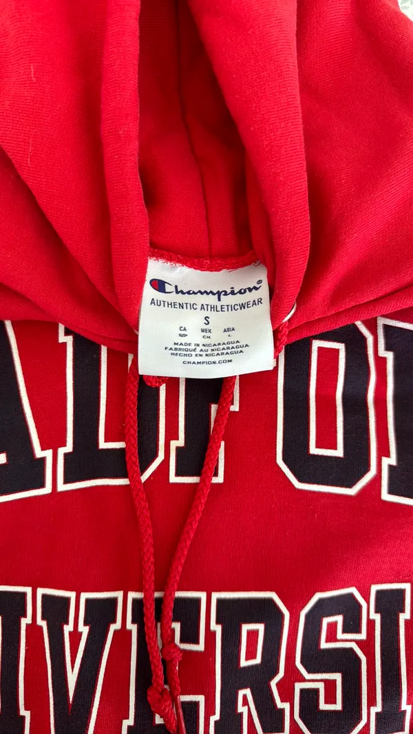 Champion Radford  Hoodie Women - Image 4