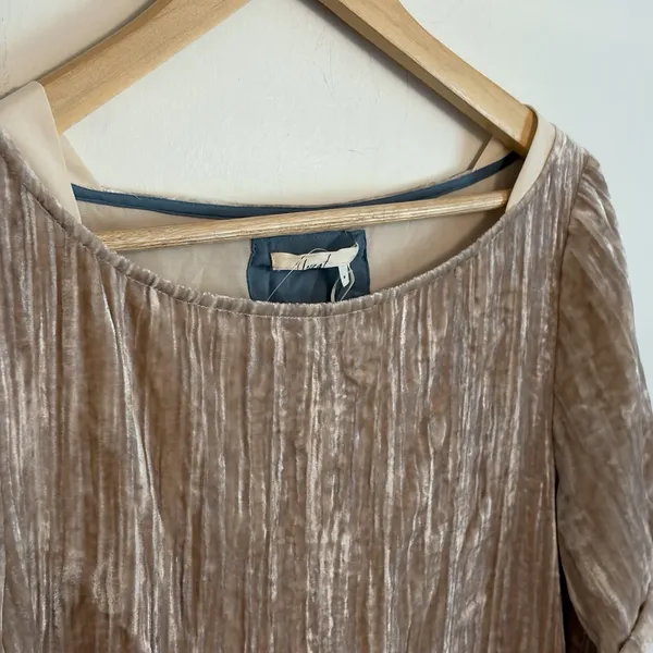 Floreat Anthropologie M Crushed Velvet Boho Chic Poetcore Shift Dress Champagne - Image 8