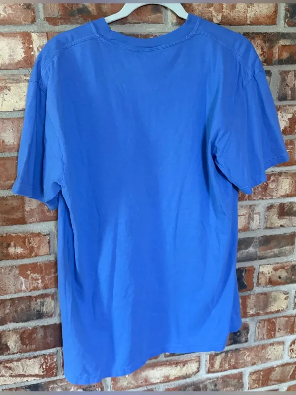 Comfort Colors Blue Tiger Nirvana Graphic Tee - Image 3