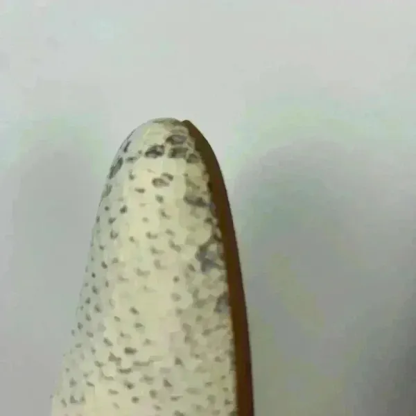 COLE HAAN The Go-to Wedge Chalk Python Snake  Print- Size 8.5‎ - Image 10