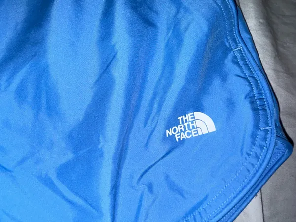 Blue The North Face Shorts - Image 4