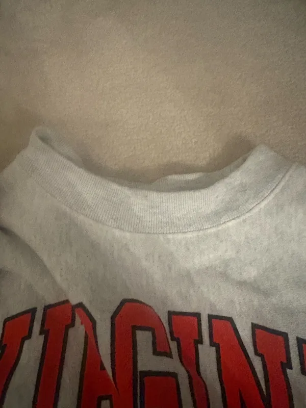 Virginia Crewneck Champion - Image 5