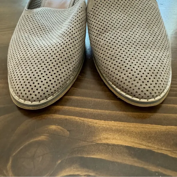 Indigo rd. Mules - Image 2