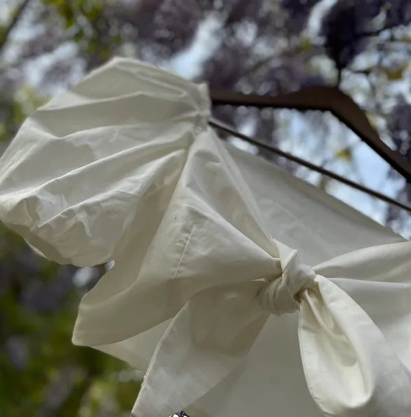 White Crop Top - Image 4