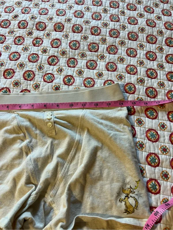 Aerie High Rise Grinch Christmas Dog Boy Shorts size large - Image 5