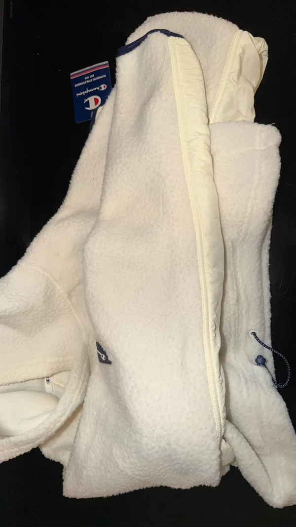 Champion Hoodie - Image 3