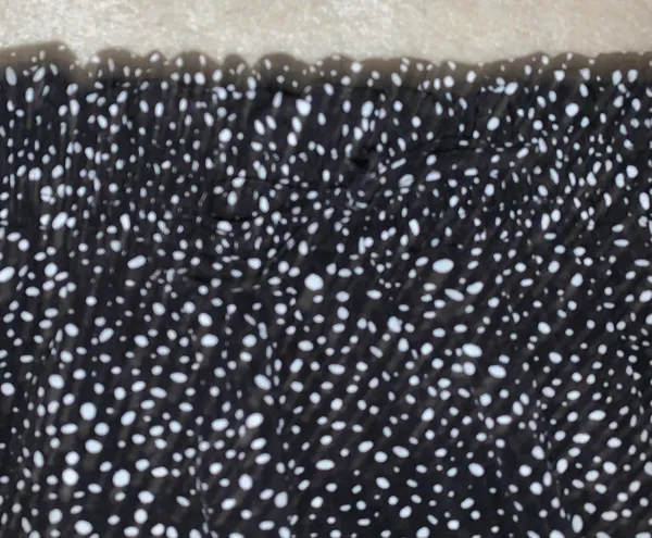 black and white skirt - Image 3