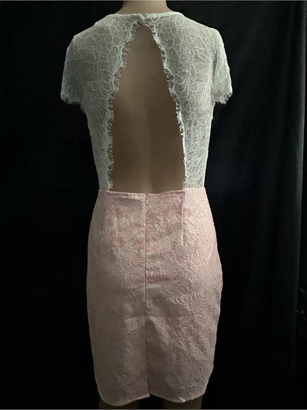 Moon Sleeveless Pink Lace Sheath Dress XS - SM - Image 2