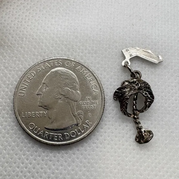 Vintage Palm Springs Palm Tree Sterling Silver California Nickel Charm 1.32g‎ - Image 5