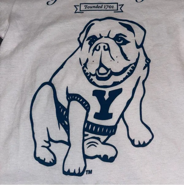 PacSun Yale University Baby Tee - Image 3