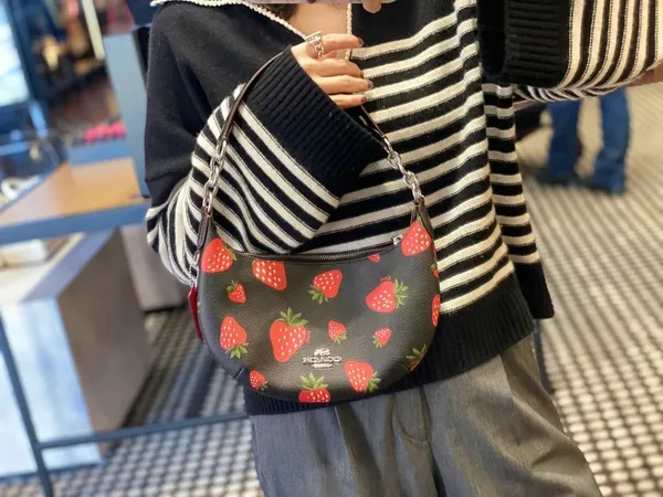 Coach Payton Hobo With Wild Strawberry Print CH330 - Image 8