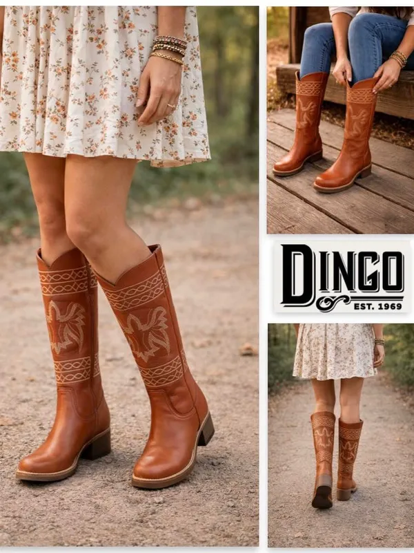 Free People x Dingo Avalon Embroidered Western Boots Russet Size 7.5 - Image 2