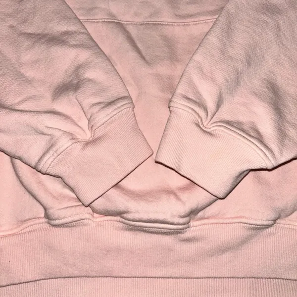 Harry Styles 🆕 NWOT Pleasing Coachella 2022 Exclusive Limited Release Hoodie - Image 6