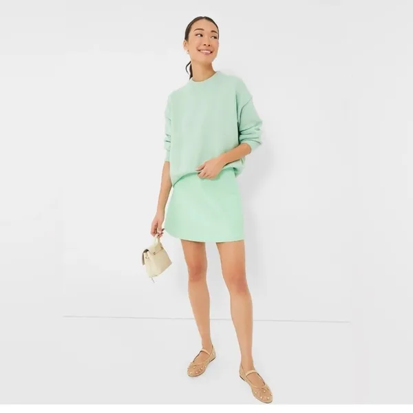 Tuckernuck Meg Mini Skirt S Mint Green Faux Leather A-Line NWT Preppy - Image 10