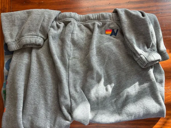 Aviator Nation Sweatpants - Image 4