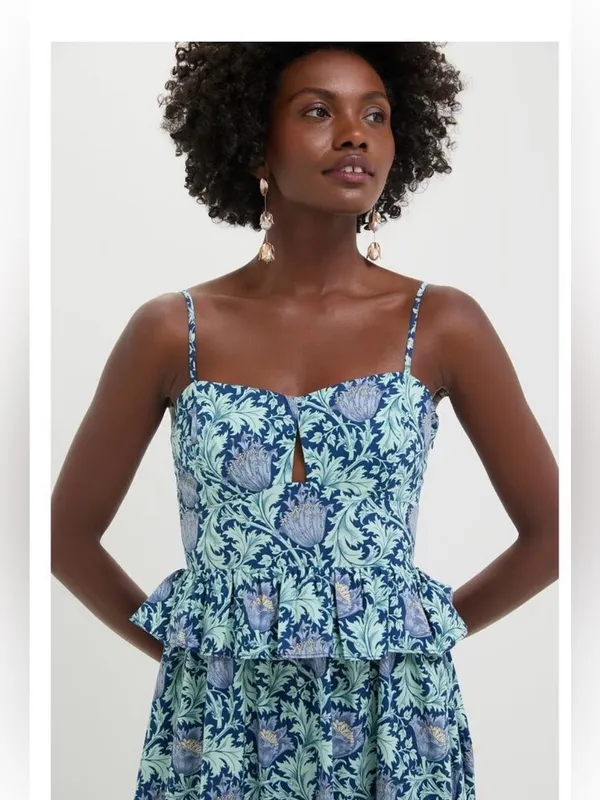 Tuckernuck Hyacinth House Blue Leafy Floral Maeve Midi Dress Sz S - Image 4