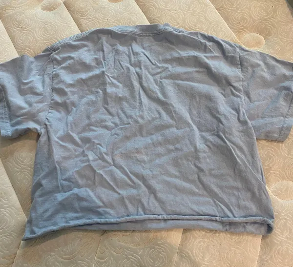 Brandy Melville Crop T-shirt - Image 2