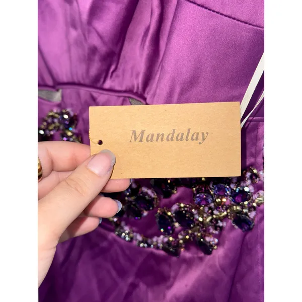 NWT Mandalay Oleander Purple Beaded Embellished Midi Cocktail Evening Dress Sz 2 - Image 15