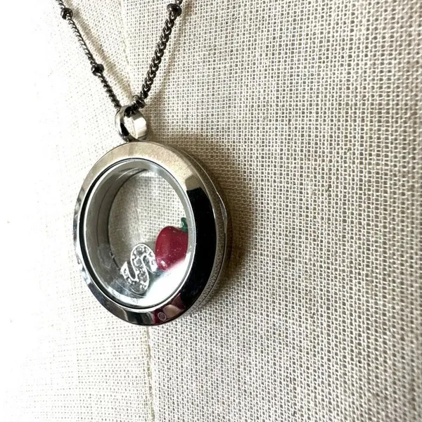 Origami Owl silver tone apple S locket necklace - Image 3