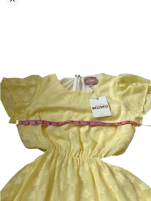 Show Me Your Mumu Merritt Mini Dress - Image 9