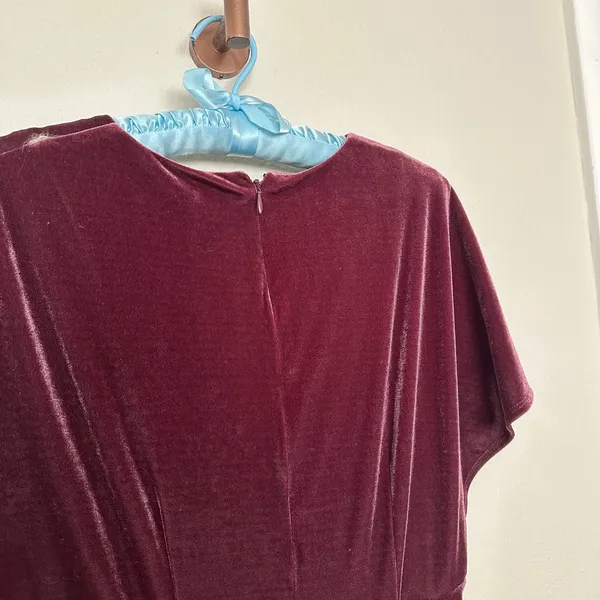 Taylor Sz 10 Midi Dress womens Purple Plum Velvet Empire Waist Flutter Sleeves - Image 6